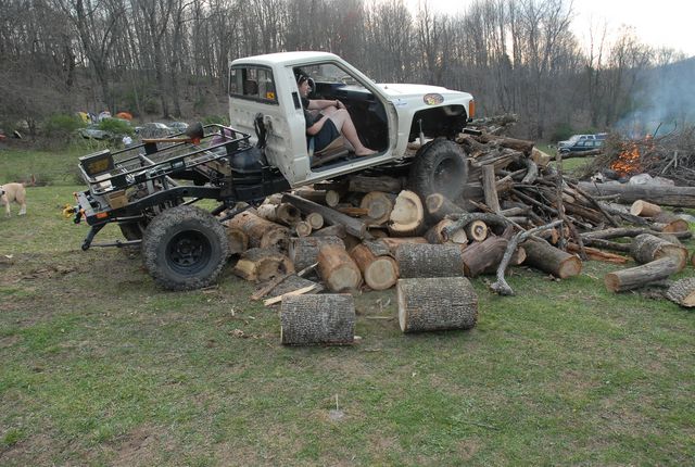 Climbing the wood pile.